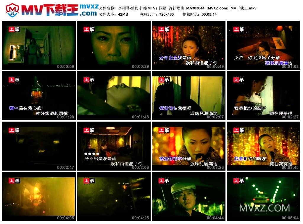 李翊君-泪的小雨(MTV)_国语_流行歌曲_MA303644